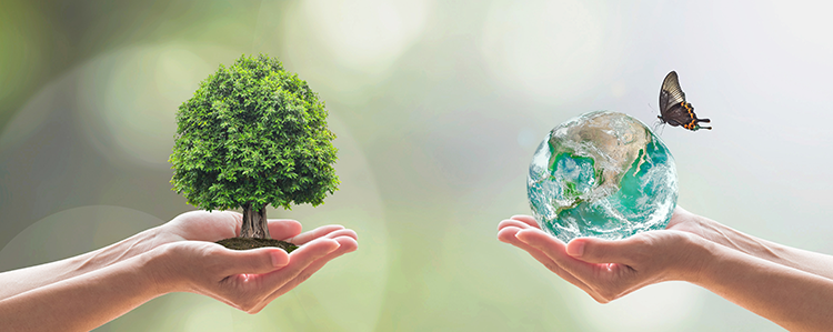 L'Importance de la Préservation de la Biodiversité