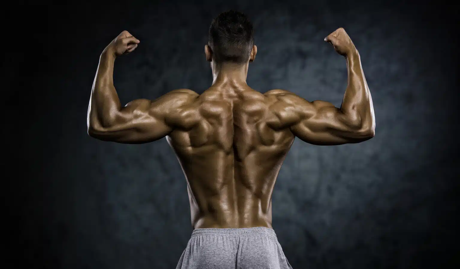 Comprendre les Muscles du Dos Importance Anatomie et Exercices
